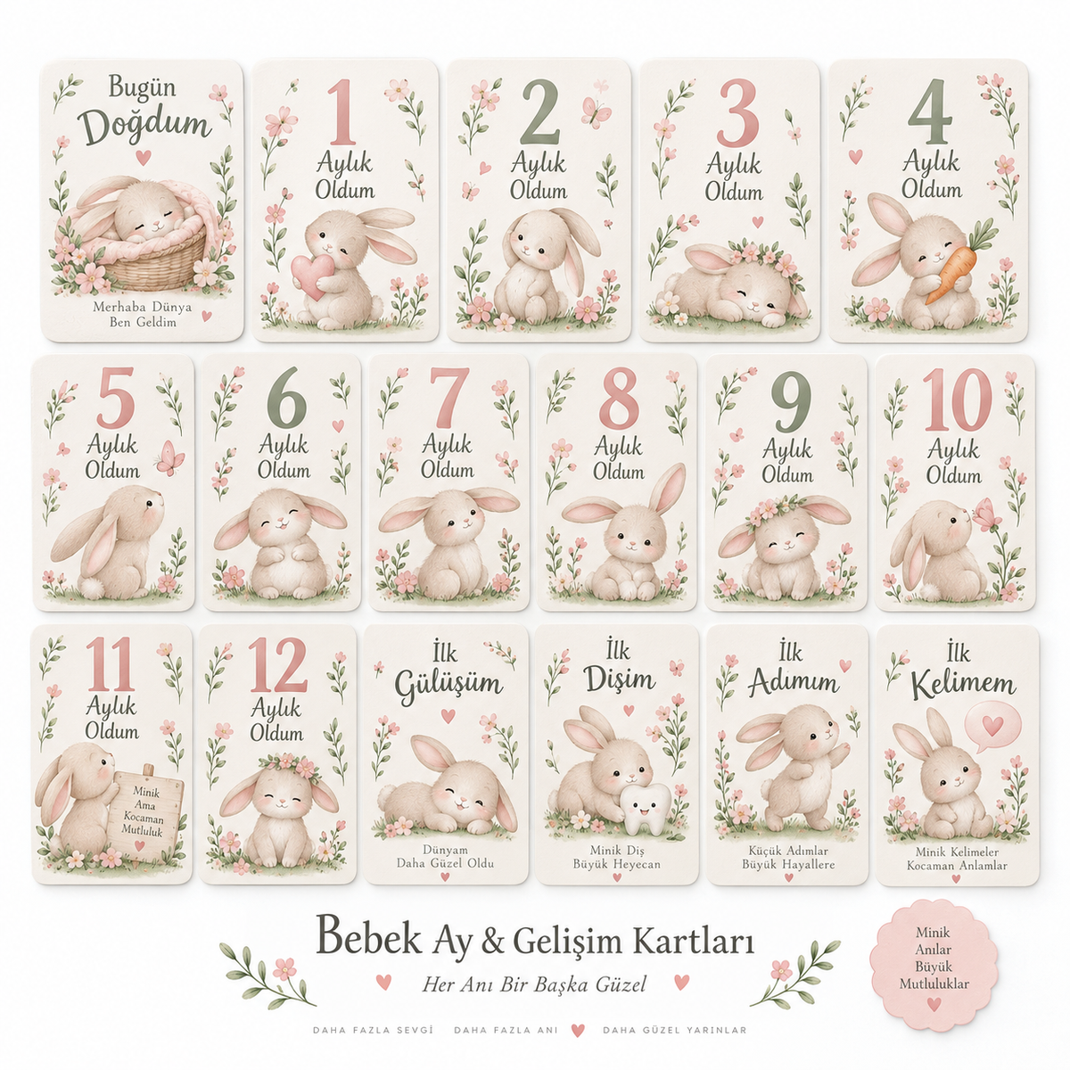 Tavşan Bahçesi Bebek Ay ve Gelişim Kartları baskı görünümü