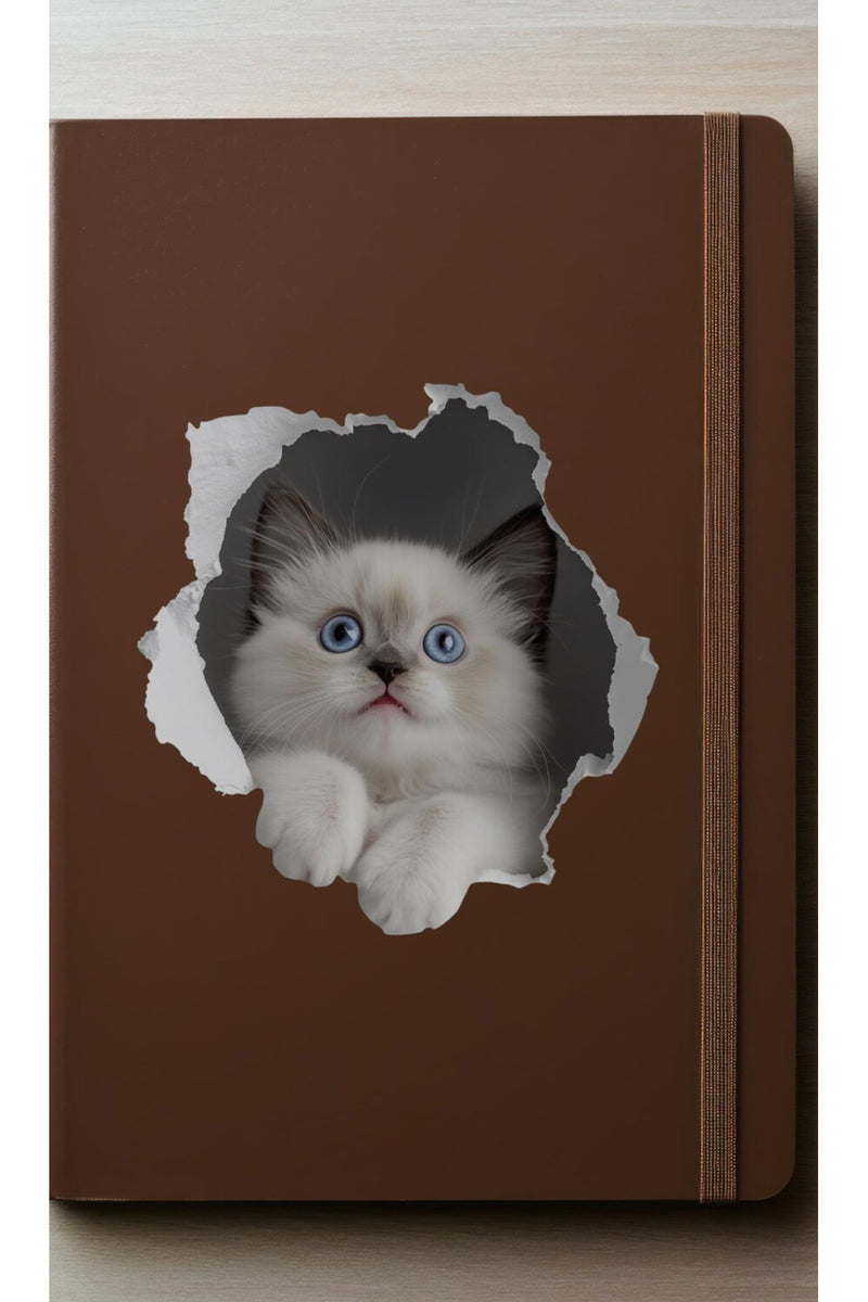 - Priz02- Maviş Yavru kedi Dekoratif Duvar Sticker
