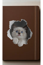 - Priz02- Maviş Yavru kedi Dekoratif Duvar Sticker