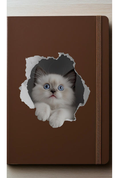 - Priz02- Maviş Yavru kedi Dekoratif Duvar Sticker