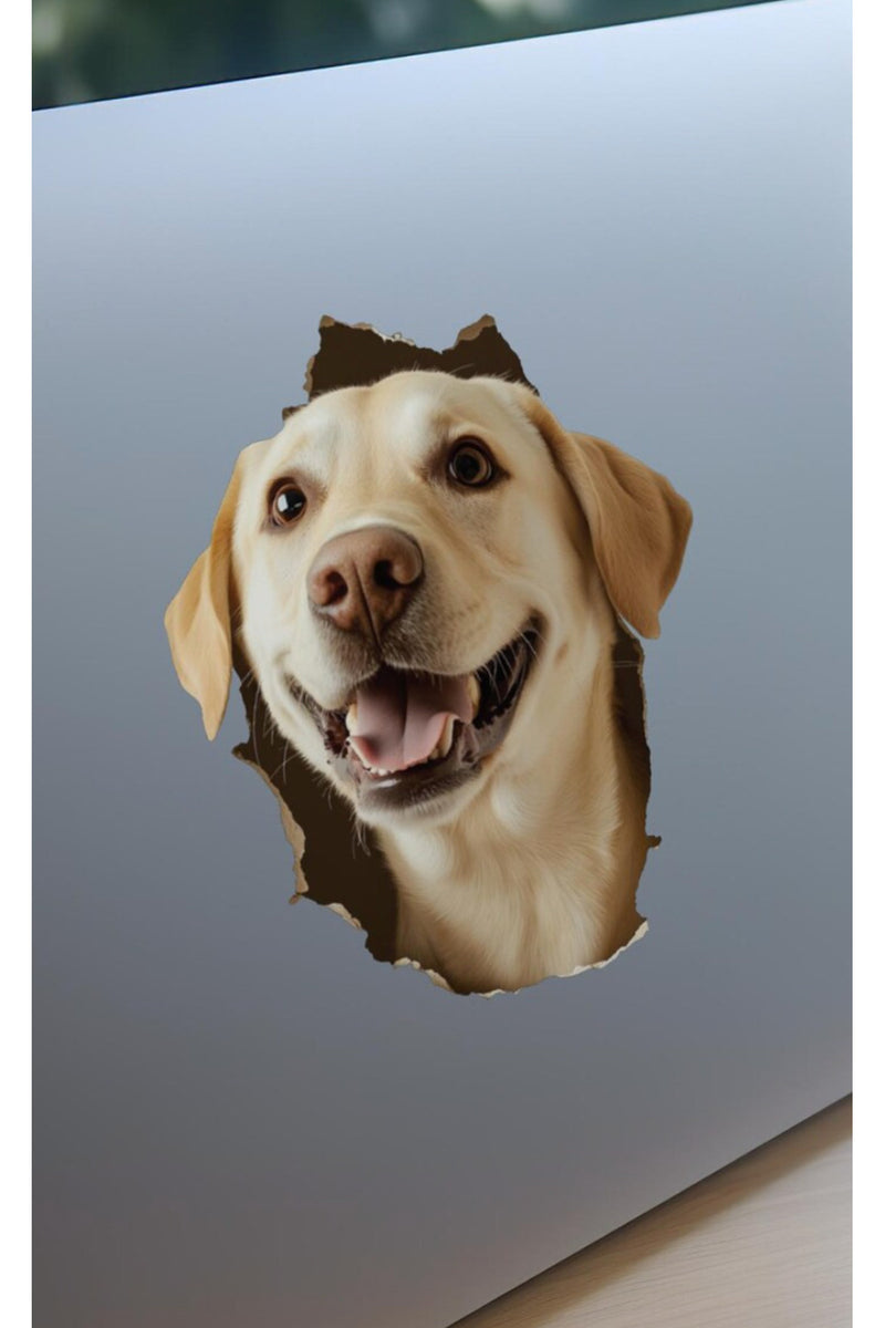 - Kırık Duvar Sevimli Köpekler Tema Dekoratif Duvar Sticker