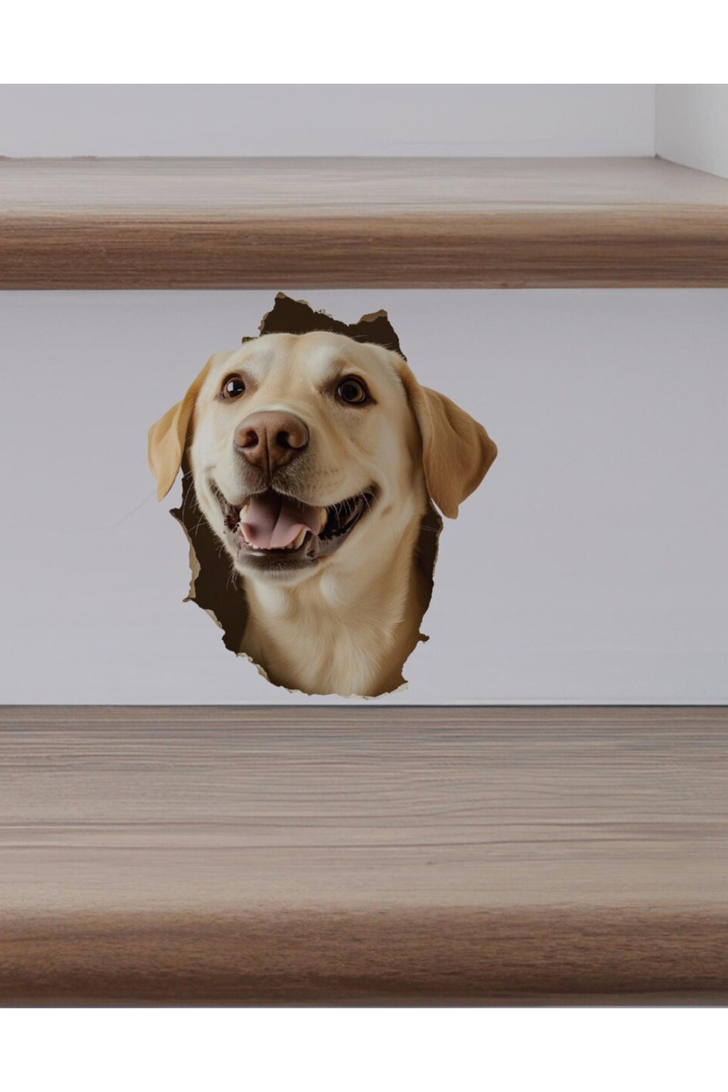 - Kırık Duvar Sevimli Köpekler Tema Dekoratif Duvar Sticker