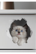 - Priz02- Maviş Yavru kedi Dekoratif Duvar Sticker