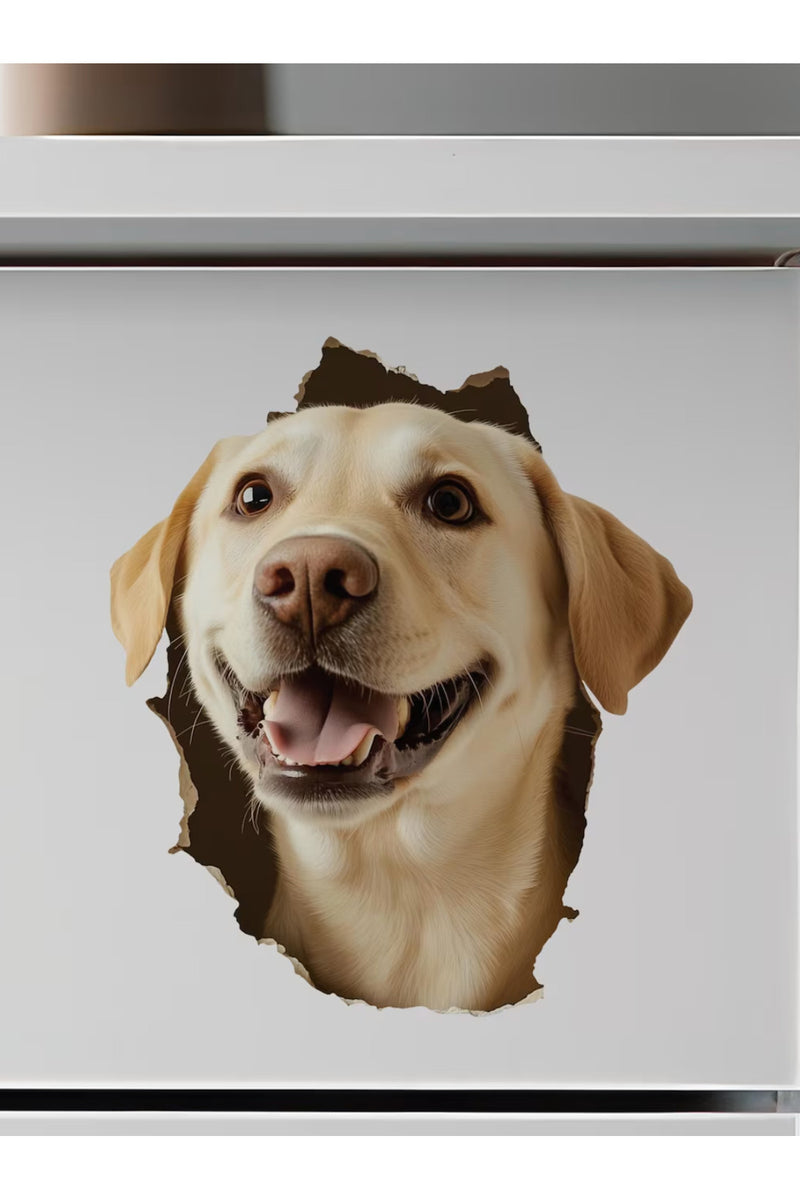 - Kırık Duvar Sevimli Köpekler Tema Dekoratif Duvar Sticker