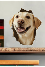 - Kırık Duvar Sevimli Köpekler Tema Dekoratif Duvar Sticker