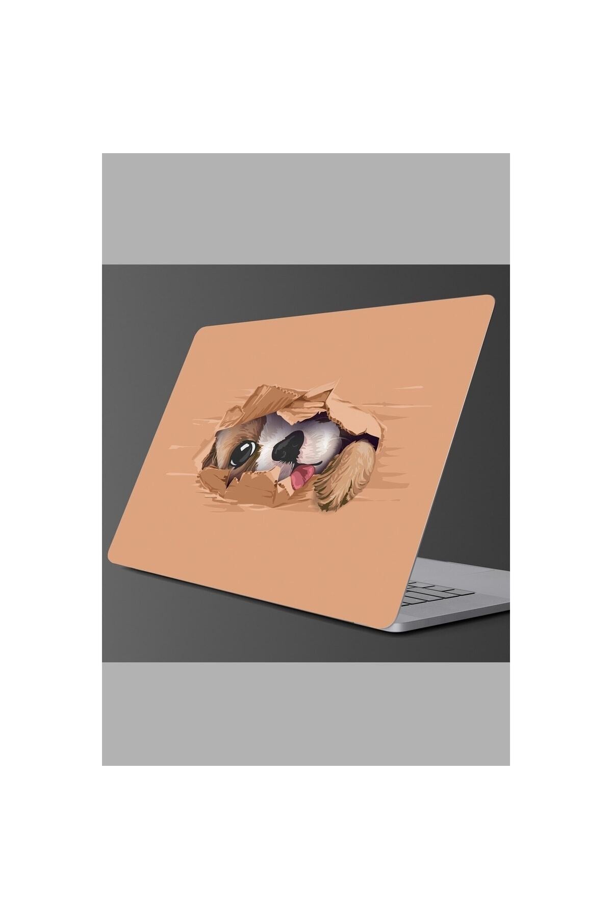 - Sim153- Laptop Sevimli Köpekcik Laptop Sticker Renkli