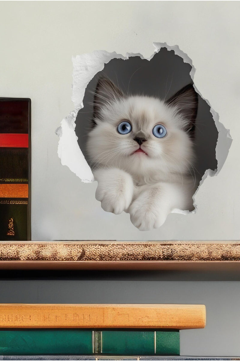 - Priz02- Maviş Yavru kedi Dekoratif Duvar Sticker