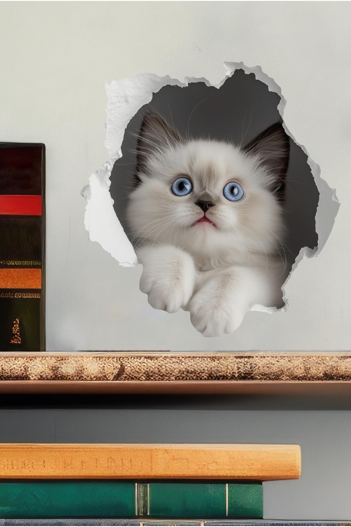 - Priz02- Maviş Yavru kedi Dekoratif Duvar Sticker