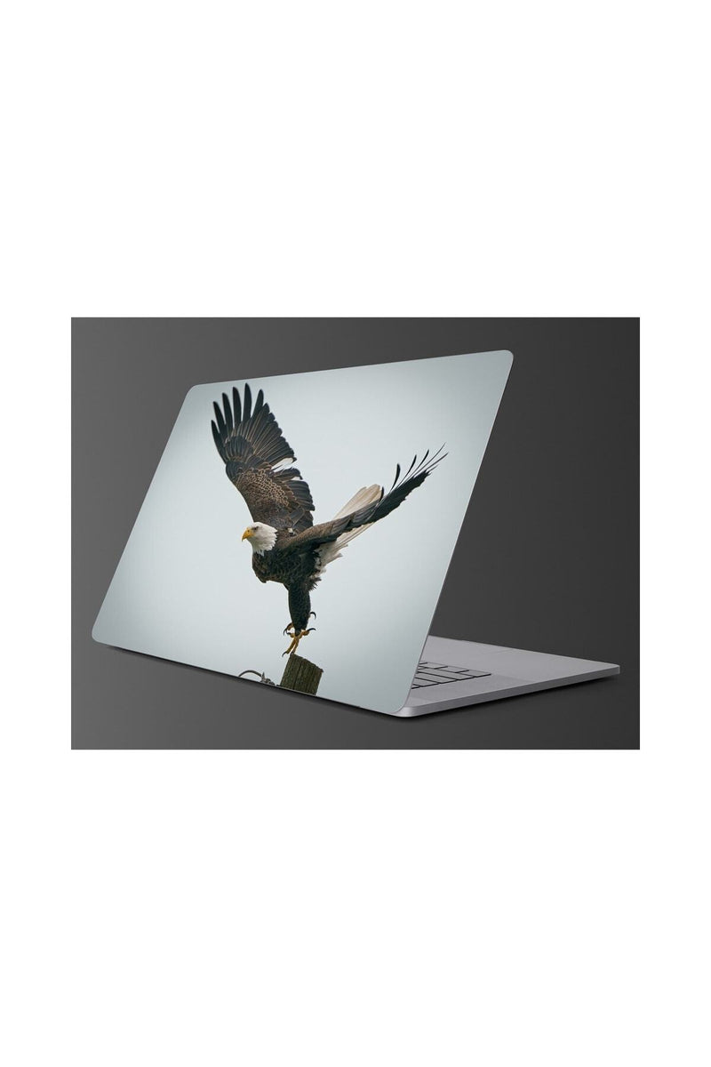Sim105  Kartal Laptop Renkli Sticker