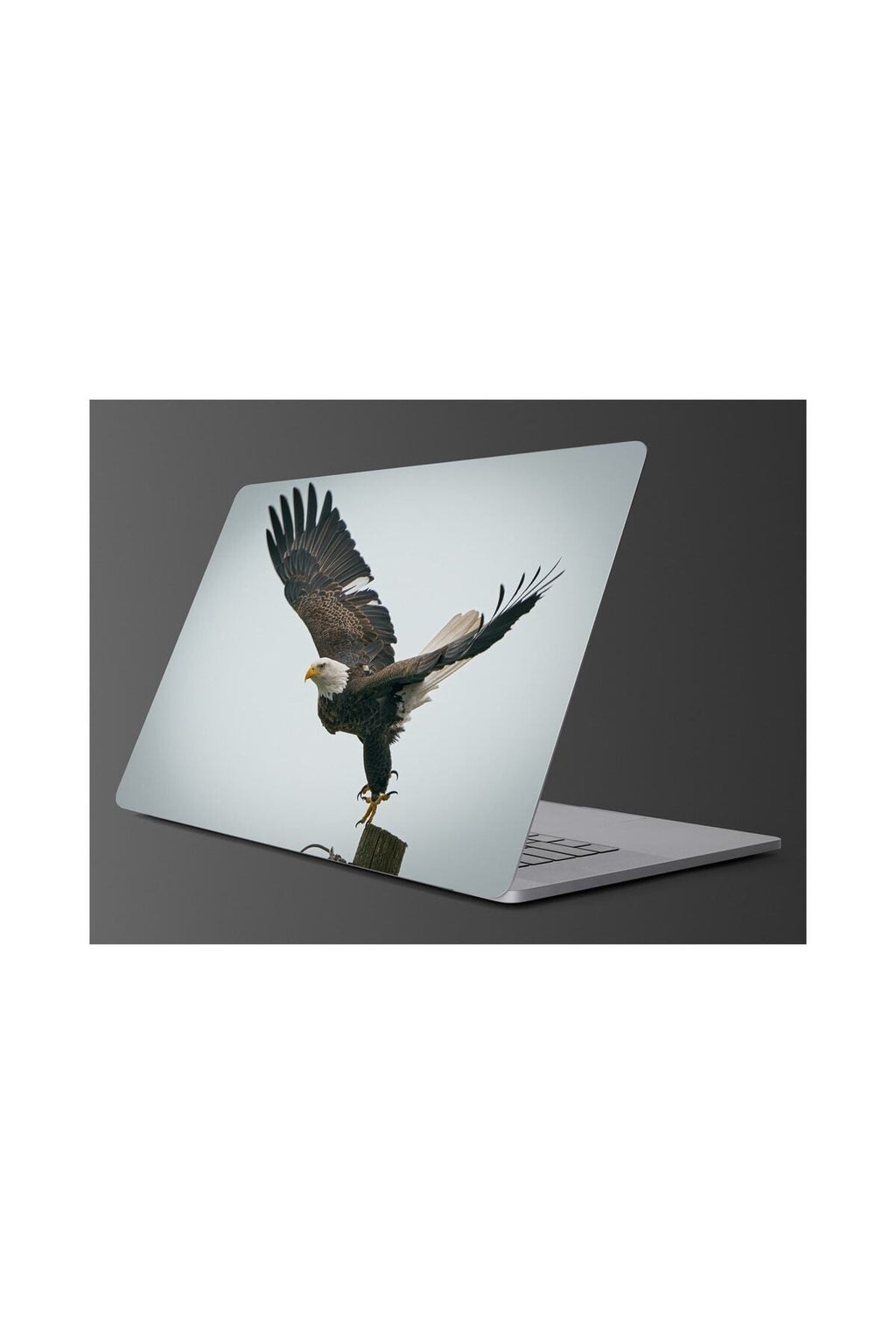 Sim105  Kartal Laptop Renkli Sticker