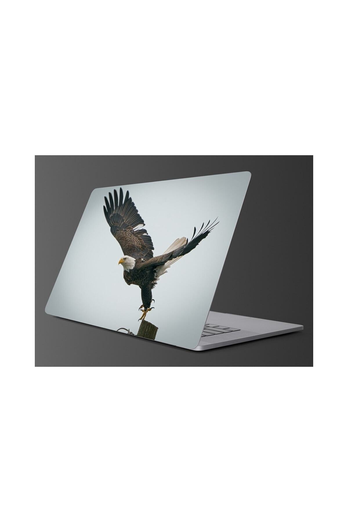 Sim105  Kartal Laptop Renkli Sticker