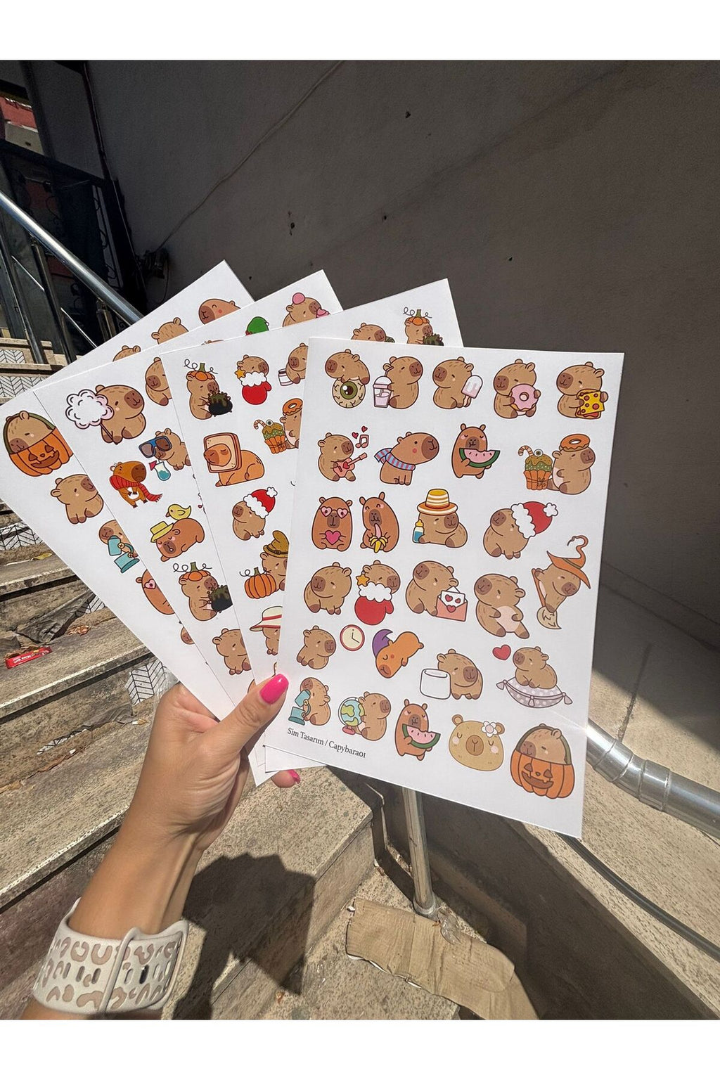 Capybara Kapibara Ajanda, Bullet Journal, Defter, Bisiklet Çıkartma Sticker - 116 adet