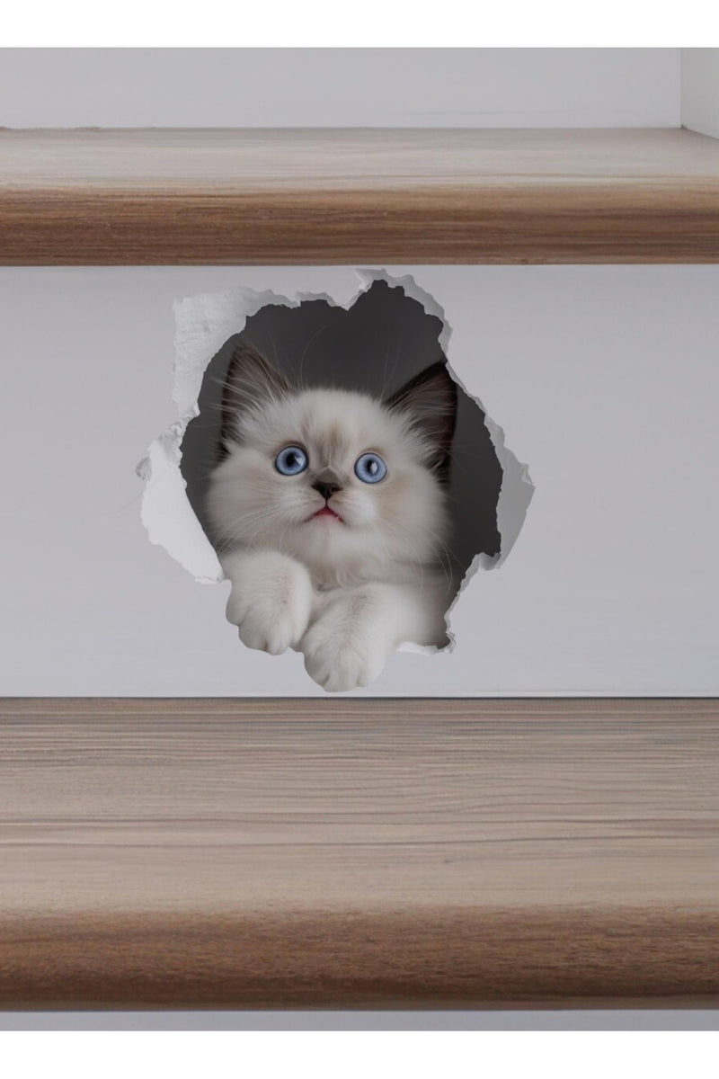 - Priz02- Maviş Yavru kedi Dekoratif Duvar Sticker