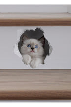 - Priz02- Maviş Yavru kedi Dekoratif Duvar Sticker