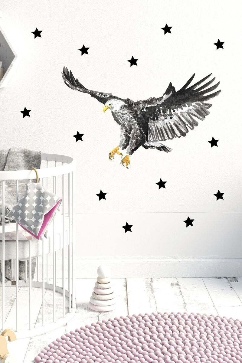 Kartal Tema Duvar Sticker Seti