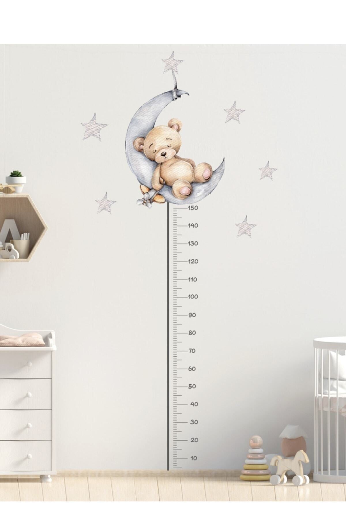 Sevimli Uykucu Ayıcık Boy Ölçer Duvar Sticker