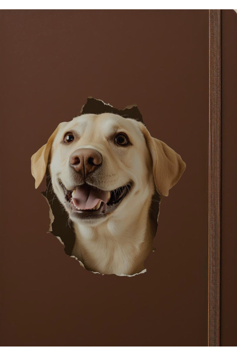 - Kırık Duvar Sevimli Köpekler Tema Dekoratif Duvar Sticker