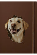 - Kırık Duvar Sevimli Köpekler Tema Dekoratif Duvar Sticker