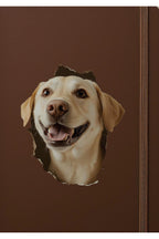 - Kırık Duvar Sevimli Köpekler Tema Dekoratif Duvar Sticker