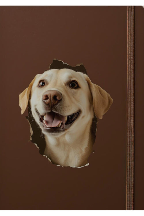 - Kırık Duvar Sevimli Köpekler Tema Dekoratif Duvar Sticker