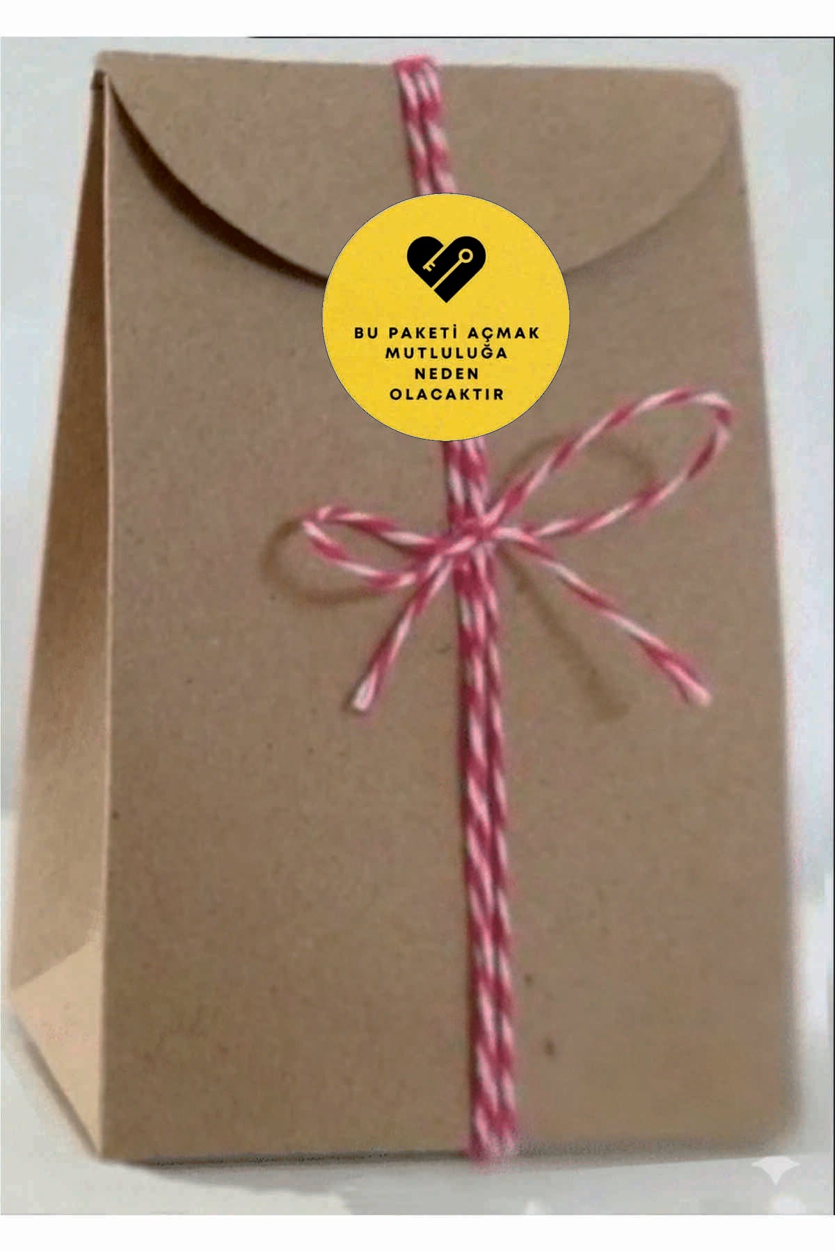 Paketlemeye özel 30 adet sticker, (farklı trend modeller ile mağazamızda kampanyalı olarak satışta)