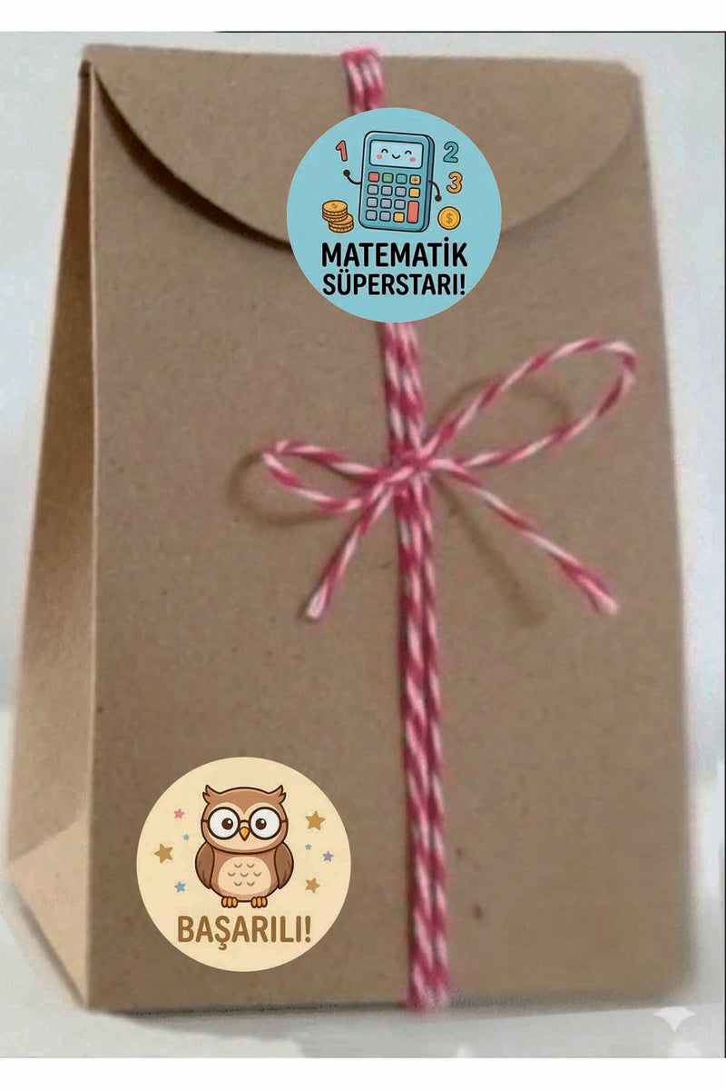 Ödev ve Paketlemeriniz için Etiketler , Öğretmenler için Harika Sticker Setleri 4 CM 60 ADET
