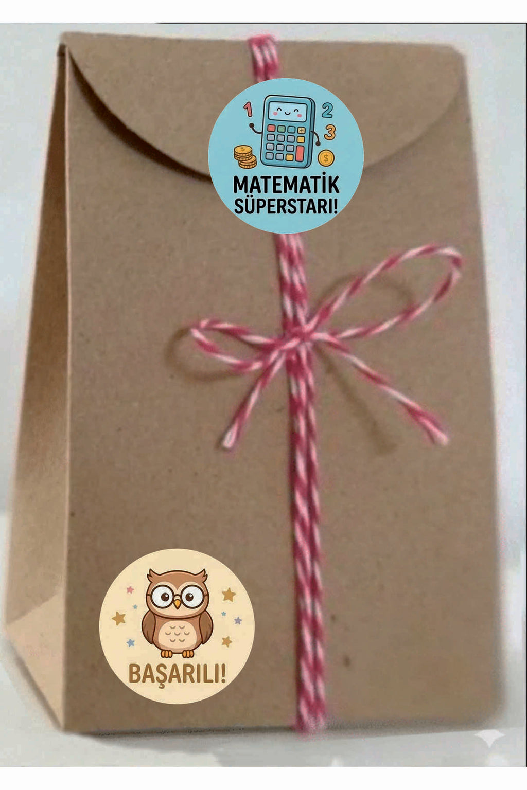 Ödev ve Paketlemeriniz için Etiketler , Öğretmenler için Harika Sticker Setleri 4 CM 60 ADET