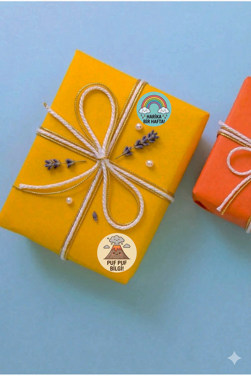 Ödev ve Paketlemeriniz için Etiketler , Öğretmenler için Harika Sticker Setleri 4 CM 60 ADET