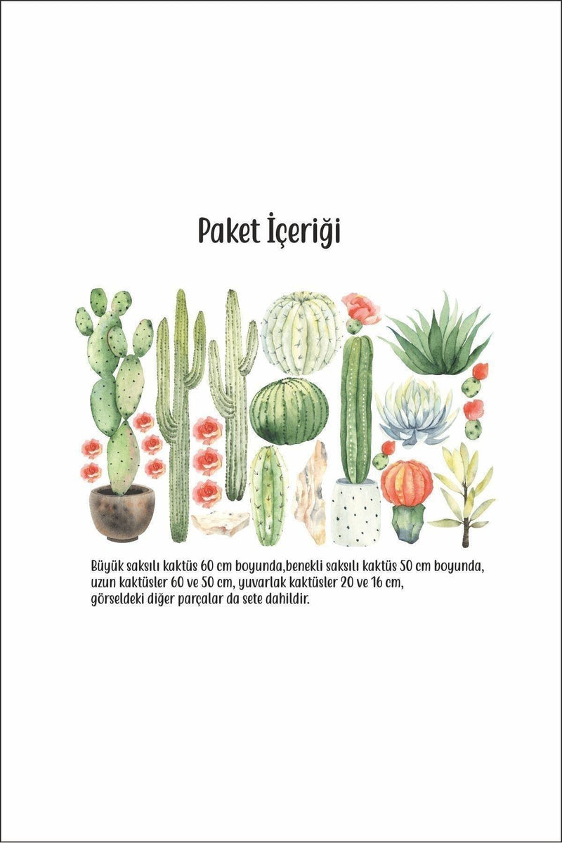 Kaktüs Sukulent Duvar Sticker Seti