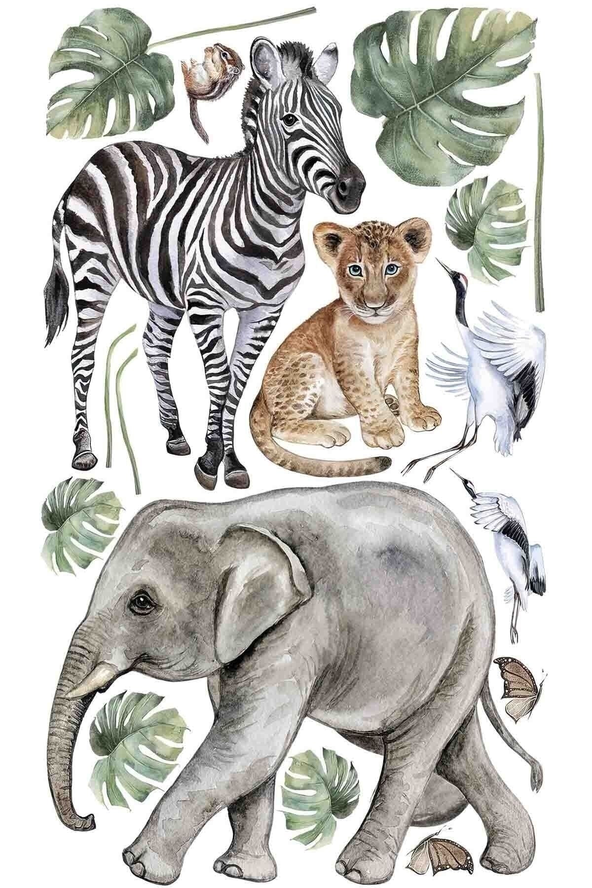Safari Günlüğü Muhteşem Hayvanlar Çocuk Odası Duvar Sticker Seti