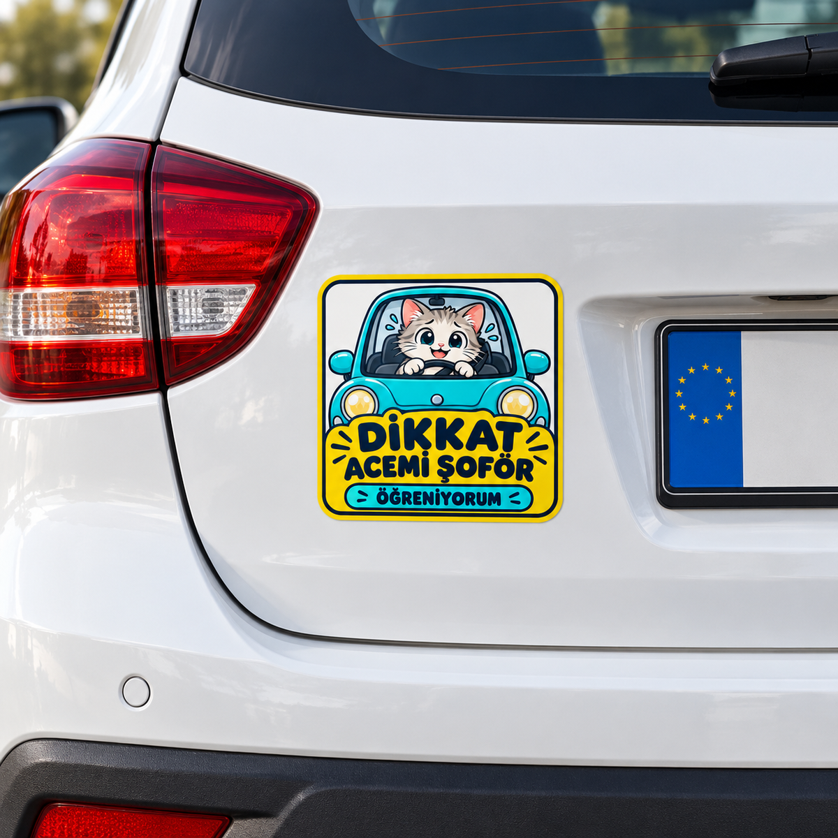 ST-AR-1006 araç arkasında sticker mockup