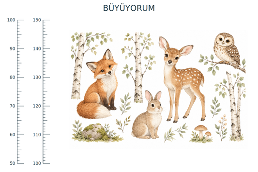 Orman Dostları Anaokulu Boy Ölçer Sticker – ST-HC-1004 90 x 60 cm